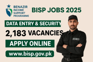 BISP Jobs 2025