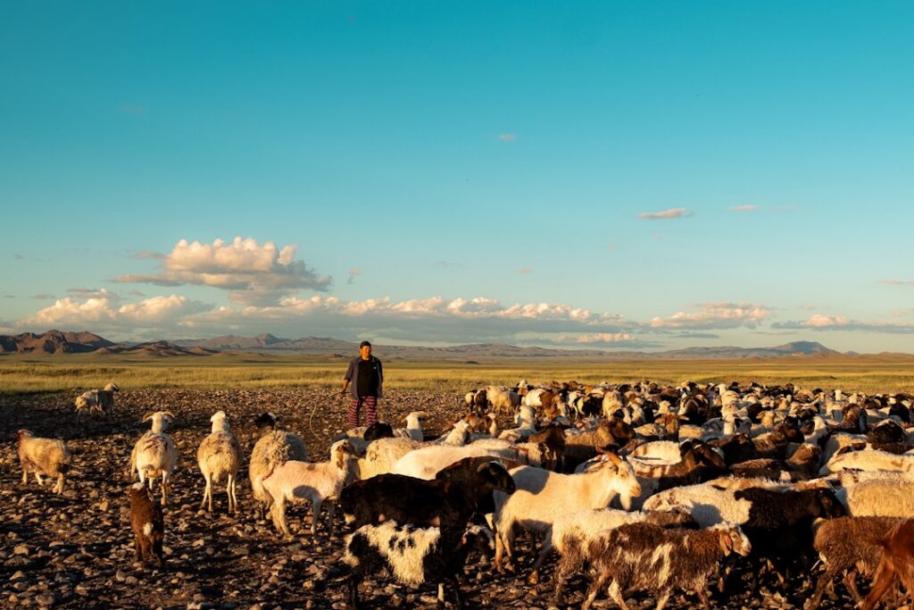 Public Service Commission Islamabad Jobs